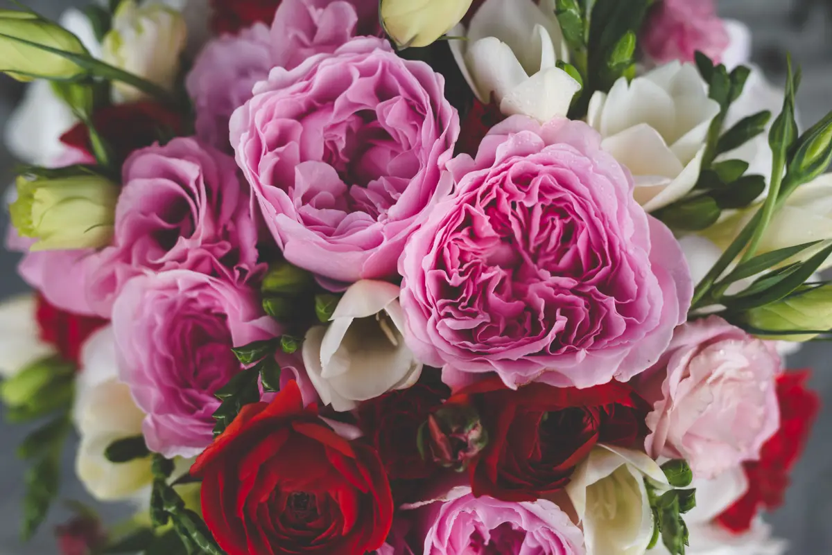 Queenstown Wedding Packages Summer Wedding-13 Queenstown Wedding Packages Summer Wedding