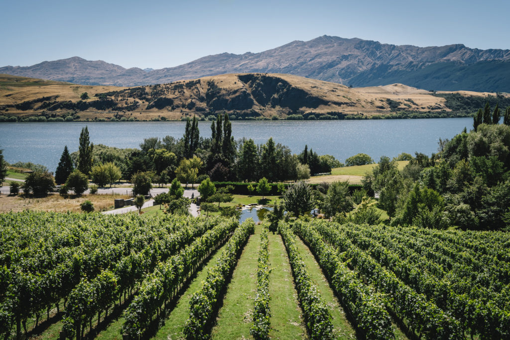 Wedding Planner Queenstown