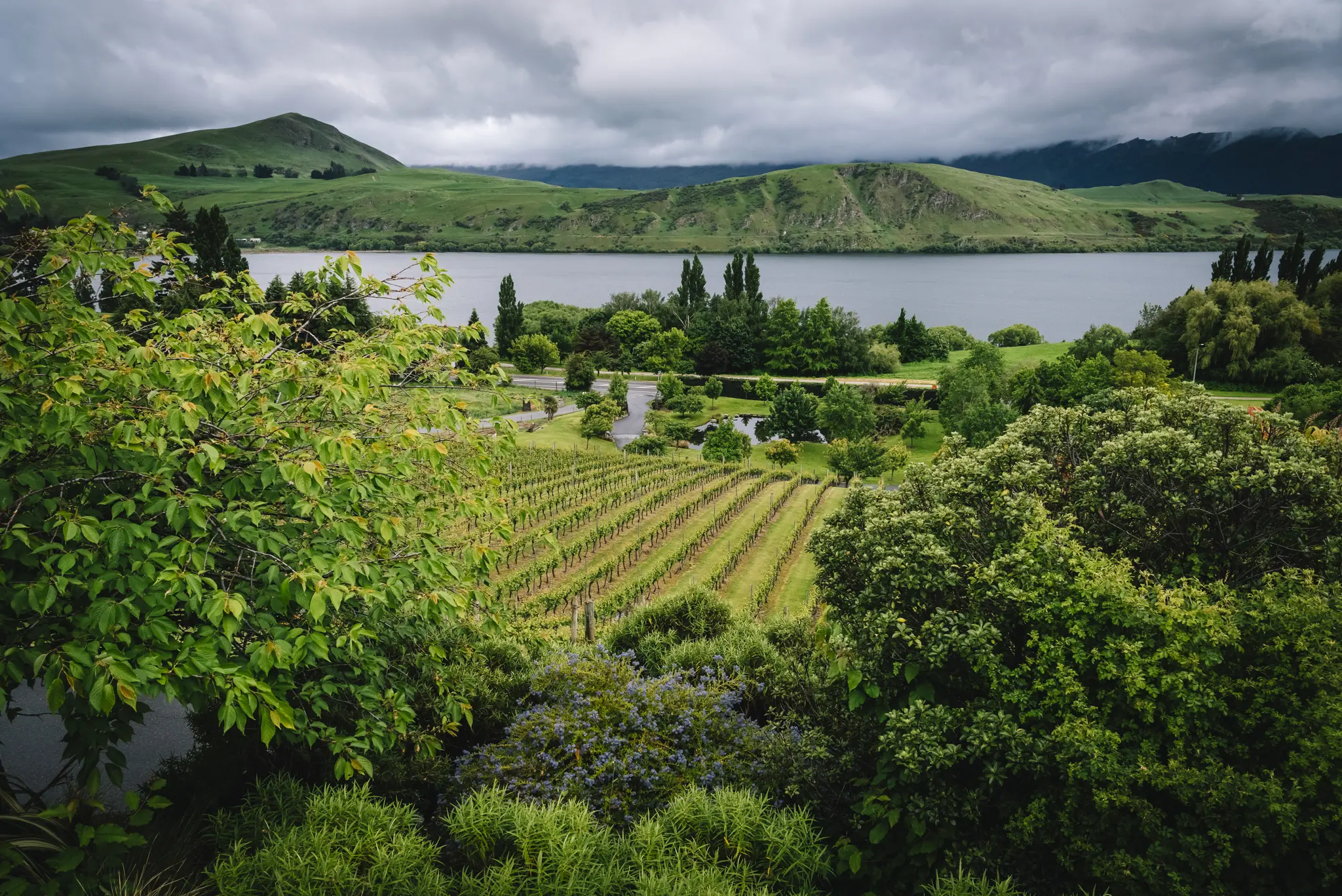 Spring Wedding Queenstown Queenstown Wedding Venue