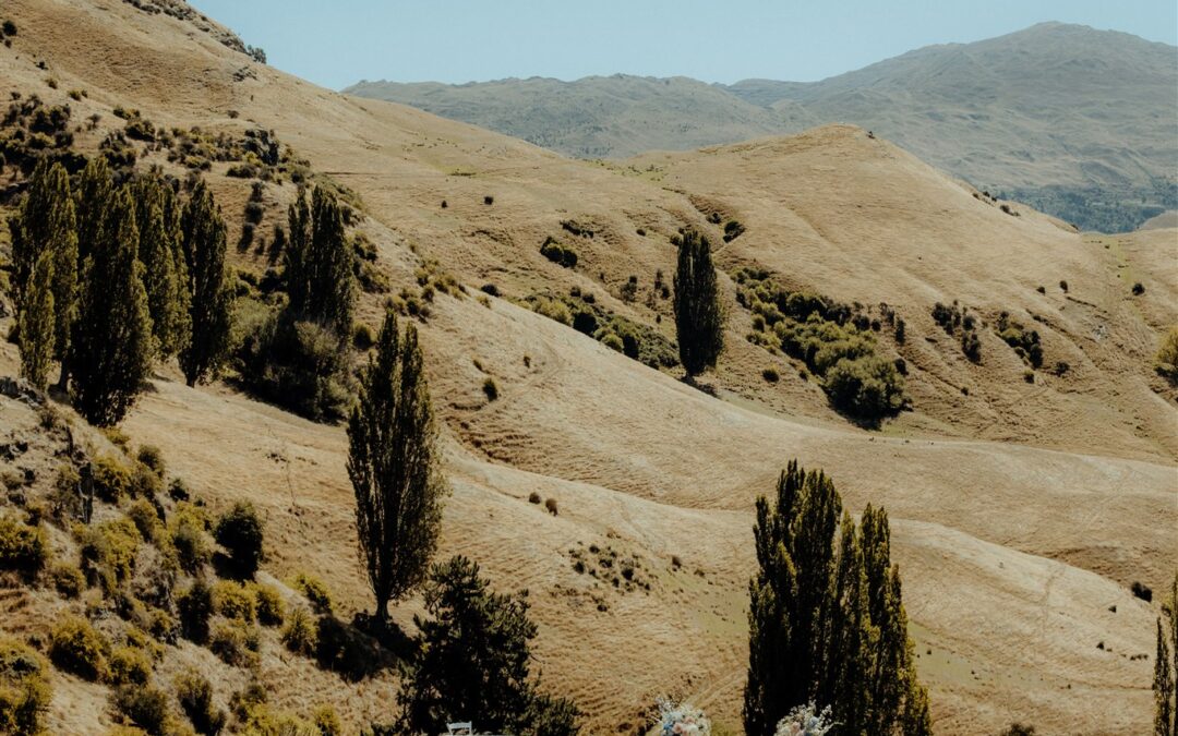 NZ High Country Wedding